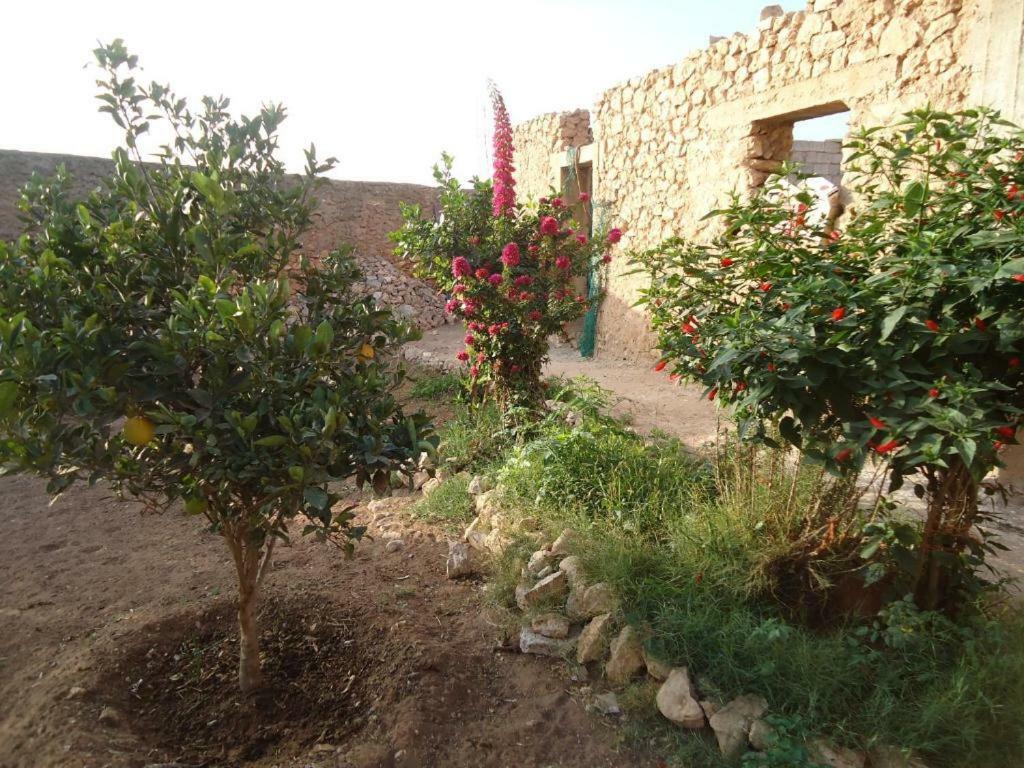 Takad Dream Rural Apartman El Borj Kültér fotó